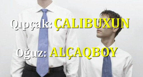 G4uYL4ZWAAAH5x5.jpg