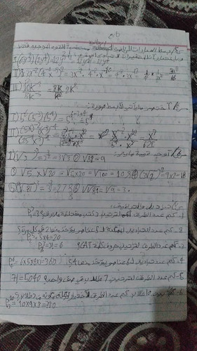 file 356.jpg