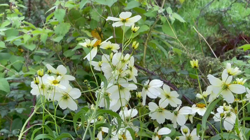 rtI oFeZKYzDFsRZ.jpg