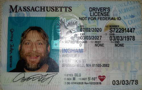 Andrew Ingham license image.jpg