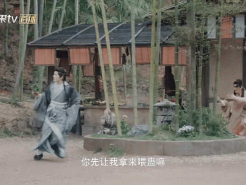 IMG 20251109 212040 456.gif