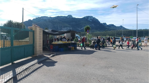 Untitled design (2).jpg