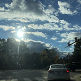 IMG 4467