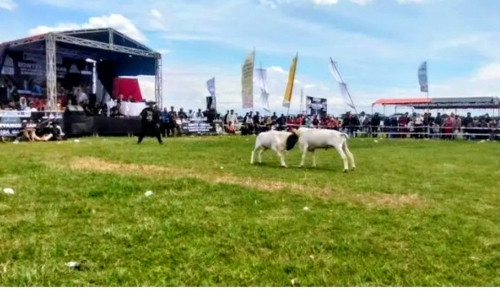 Screenshot 2025 11 09 20 06 12 32 40deb401b9ffe8e1df2f1cc5ba480b12~2.jpg