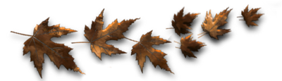 HBDINNSDAG.png