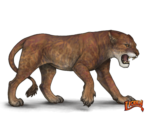 lioden wardrobe (6).png