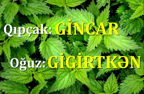 579925754 843617271398459 4116074812797346110 n.jpg?stp=dst jpg p180x540 tt6& nc cat=106&ccb=1 7& nc.jpg