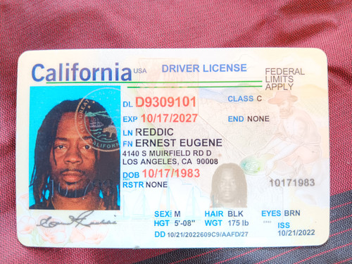 Ernest Eugene Reddic license image.jpg