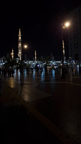 7y8dCyTRlUgZ1M 6.jpg