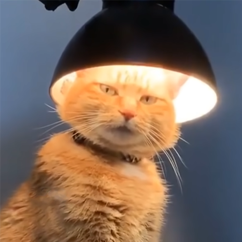  1.png