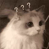 F0E89B83AC3AB978D8A714C1CCCF2290.gif