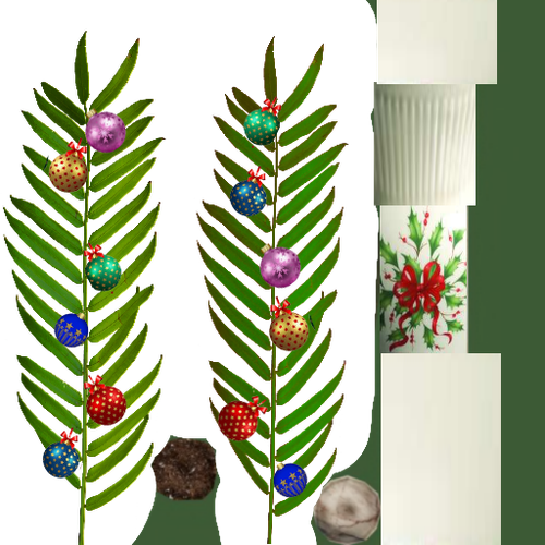 PALMERA GRANDE EN MACETA copia.png