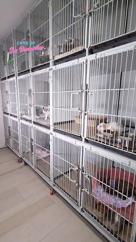 pVz 0rgtgXsHACey.jpg