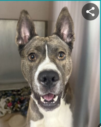 G5BtFYMW0AAl 0Y?format=jpg.jpg