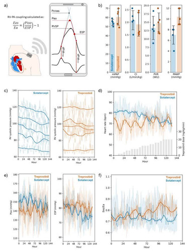 G5QoQBAWwAAPd2O.jpg