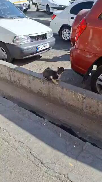 OtAX1Kqj xouU6b0.jpg
