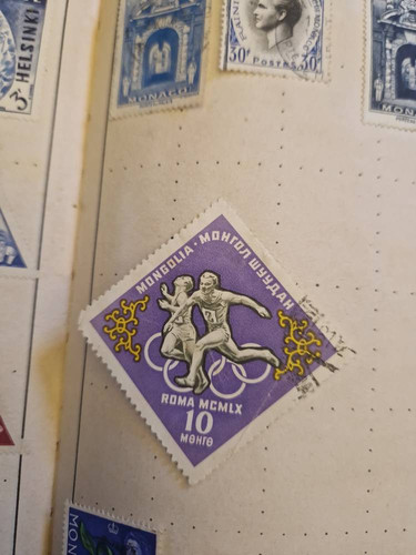 113751ecf726.jpg