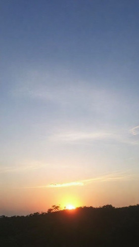 80a961d5118a.jpg
