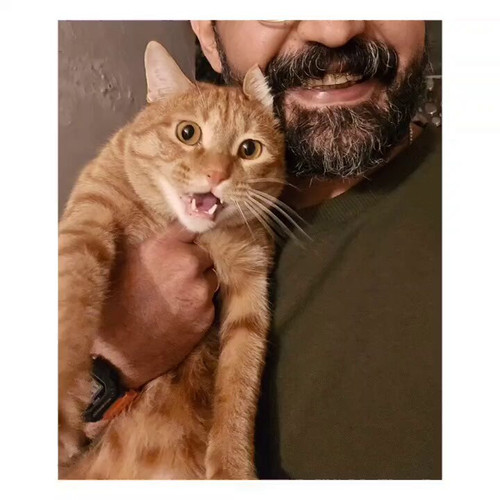 ptmZQLBZpKAqJ4cq.jpg
