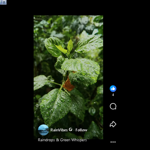 Screenshot 42.png