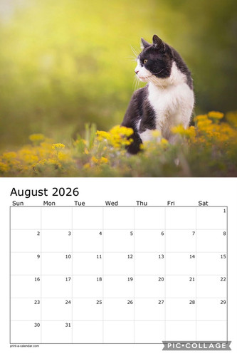 Black and white cats calendar p9.jpg