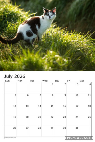 Black and white cats calendar p8.jpg