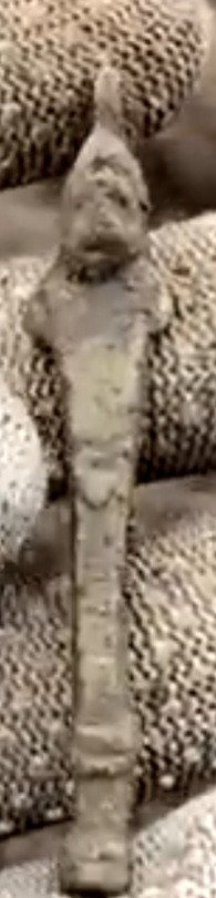 1000015921.jpg