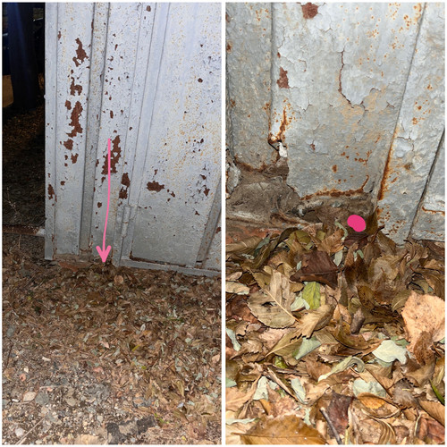 8A5DBB92 7C33 412A AB79 6EBC932C4488.jpg