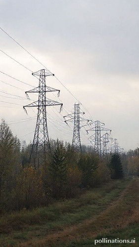 c068160f3b99.jpg