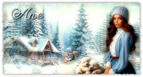 ane firma invierno 25.png