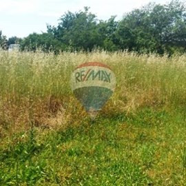 33797 20211114011445827 0 .jpg