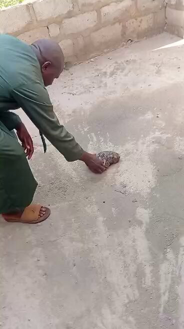 K4V8TDgIu z4OsCa.jpg