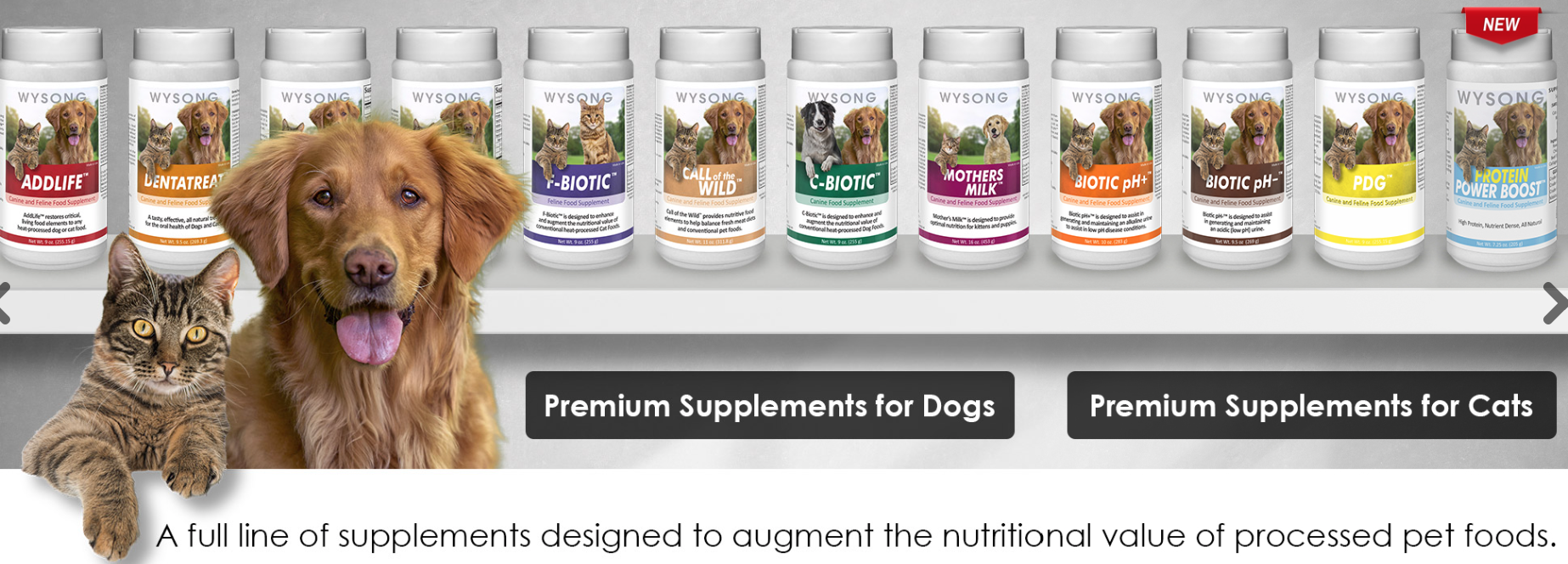 WYSONG REVIEW: THE VETERINARIAN-FOUNDED BRAND THAT DEFIES PET FOOD NORMS