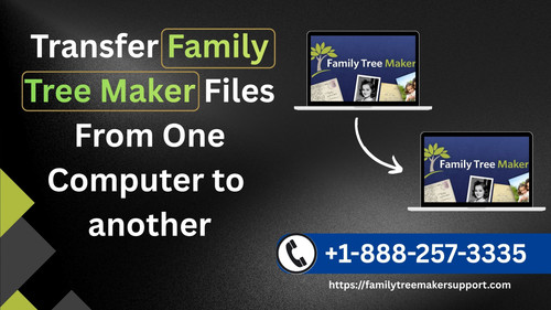 Transfer Family Tree Maker Files From One Computer to another.jpg