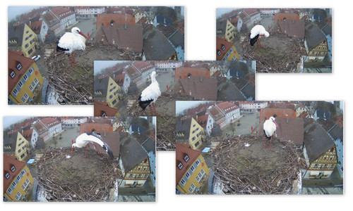 Bilder1.jpg