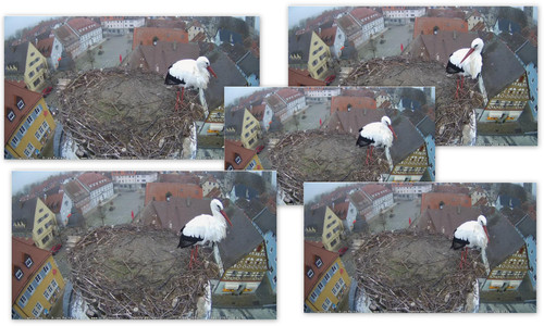 Bilder.jpg