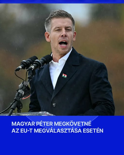 581049495 1163084512680043 4290972582000406751 n.jpg?stp=dst jpg s640x640 tt6& nc cat=109&ccb=1 7& n.jpg