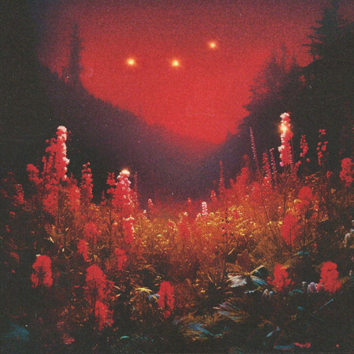 c7e2b572df62.png
