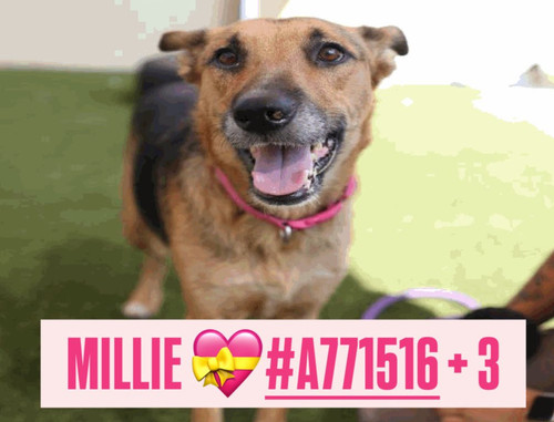 G144A2 XIAAAKcb?format=jpg.jpg