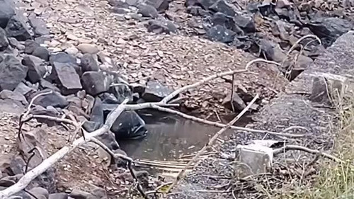 h8lh3Li DPGc8uiF.jpg