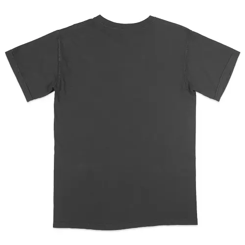 ComfortColors1717AdultHeavyweightT Shirt 2.0 Mockup05.webp