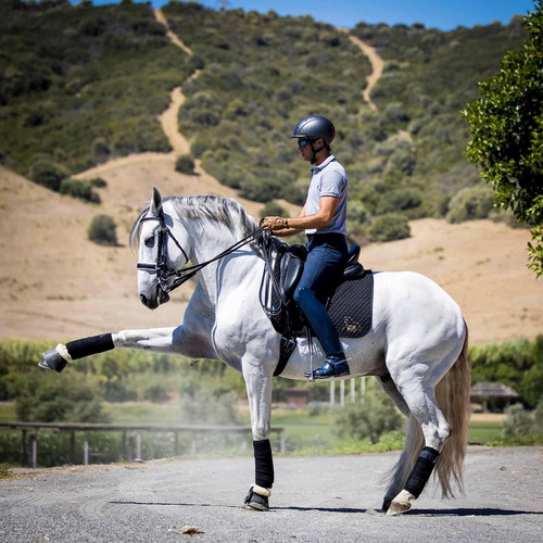 119131080 3446534878699960 1031839035239324899 o.jpg