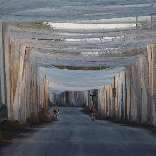 ZUsgHl1 zOpH4SimpzGD4yXPr59CkBmLgvLkmXOoqIRyGj573sCnl3lqs1WGYFDoEGOzi53ygW6PmDh9SzuatU1SlpReU01xrTb5.jpg