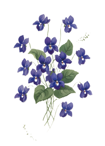 Gemini Generated Image nz4iwqnz4iwqnz4i1.png