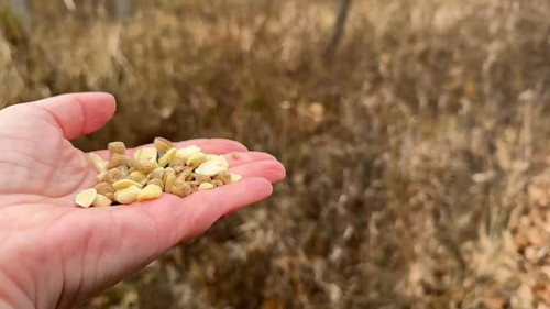 WFgDsPBJ52 gdzYZ.jpg