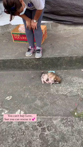 DrB HKmIqDvbQeHB.jpg