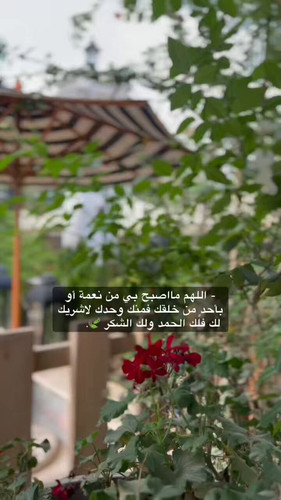 XiKVSxRhl3r hWE9.jpg