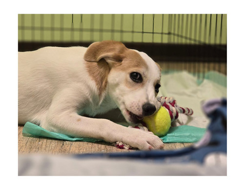 G4uEHTjWEAA 12d?format=jpg.jpg