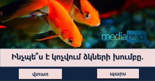 4557108199823702324?url=https%3A%2F%2Fmediahub.am%2Fuploads%2Fimages%2F2025%2F03%2Fimage 750x 4Ns6Uh.jpg