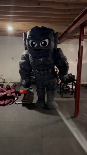 I gpmz1jJFPF CGD.jpg